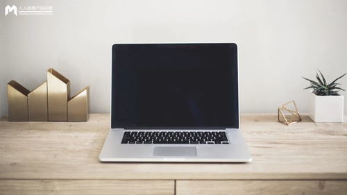 模型產(chǎn)品市場(chǎng)規(guī)模計(jì)算與銷售策略分析